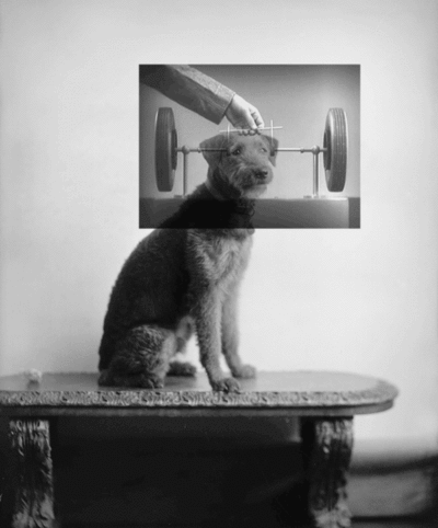 Picture